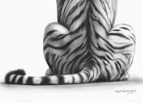 Quiet Majesty