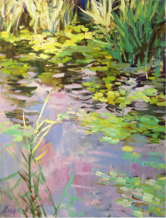 Summer evening / water lilies pond  light oil painting  river lily