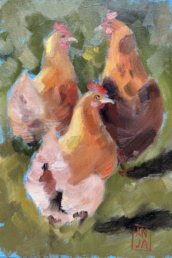 Garden Gossip Hens in the Yard