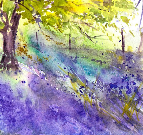 Bluebell wood 5 by Anjana Cawdell