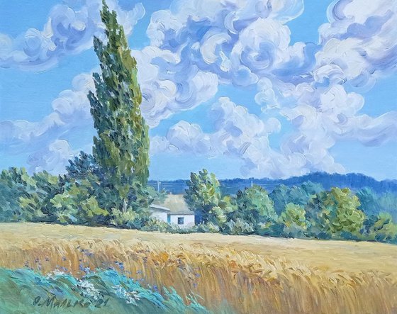 Inspired by Van Gogh. Wheat field with Poplars / Ukrainian rural landscape. Original picture