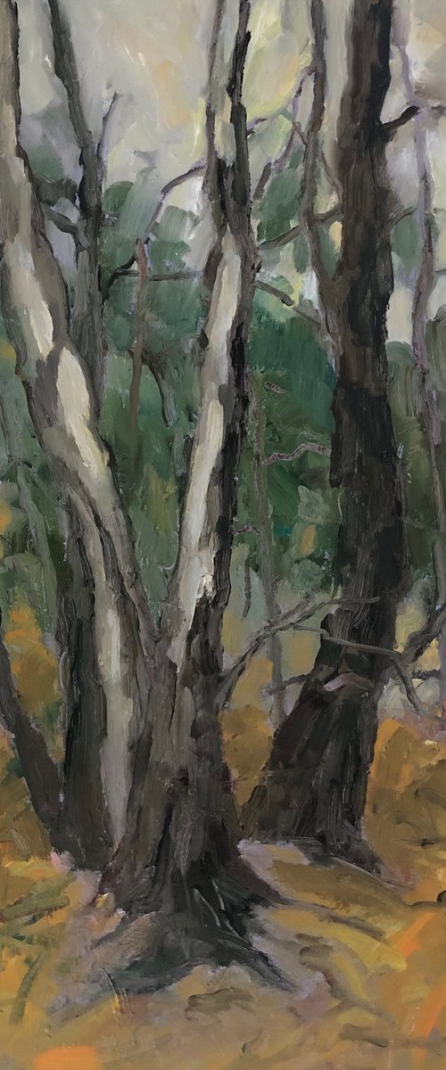 Turning Wintry by Joanna Farrow