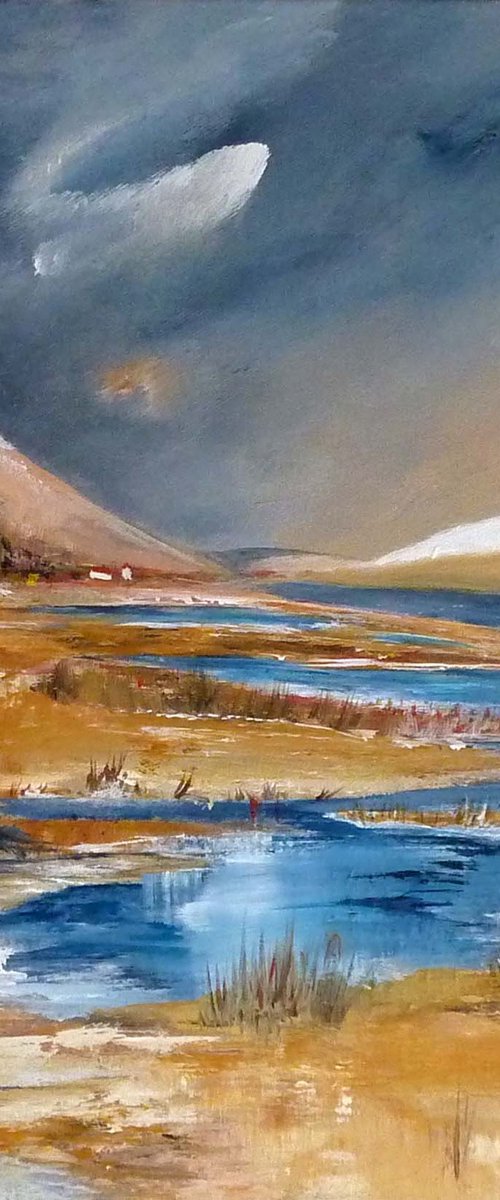 Flood Waters on Scottish Moorland by Margaret Denholm