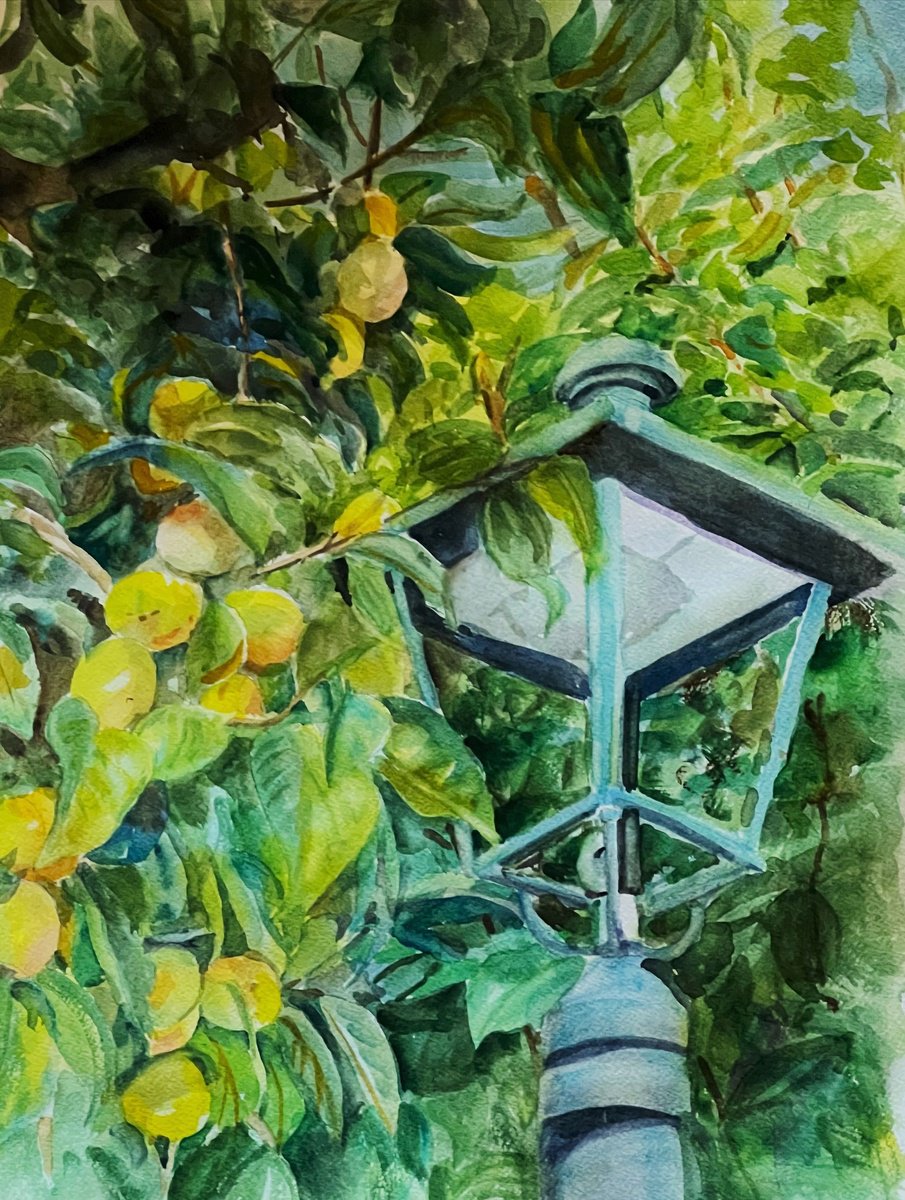 Impressionistic Botanical Watercolour By Bronwen Jones, 13 X 17, Fruit And Light, Original Artwork