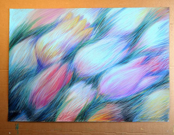 Tulips Blue