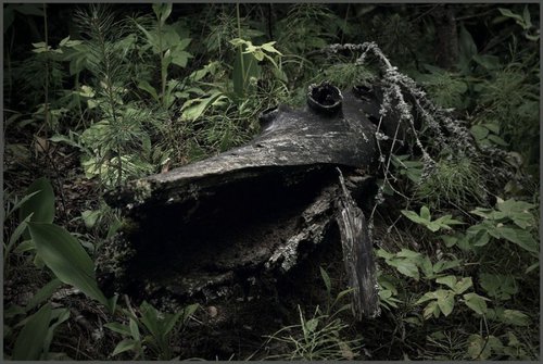 Wooden Pike by Igor Novikov