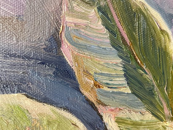 Still life consecrated by the sun