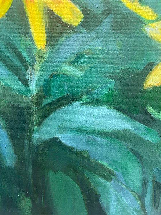 august flowers