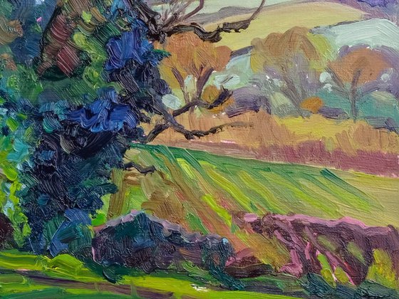 November Oak, Terrington