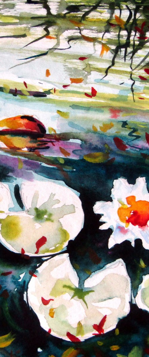 Water lilies collection by Kovács Anna Brigitta