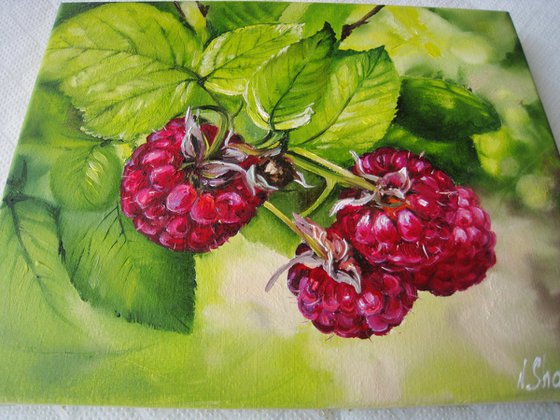 Ripe Raspberries