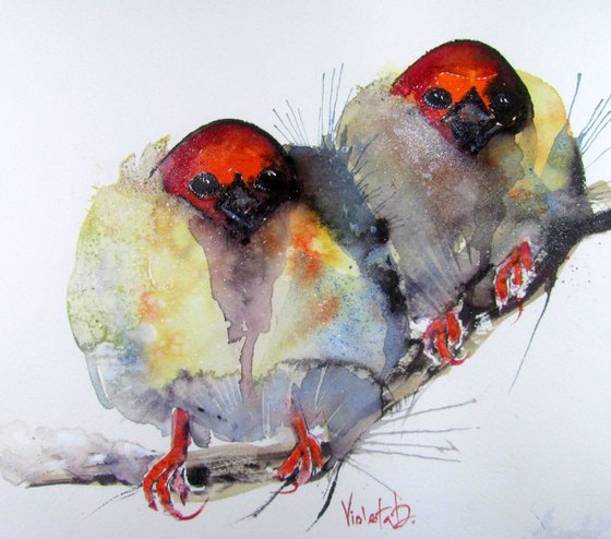 Chubby Winter Birds