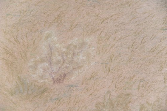 Earthy tones field landscape