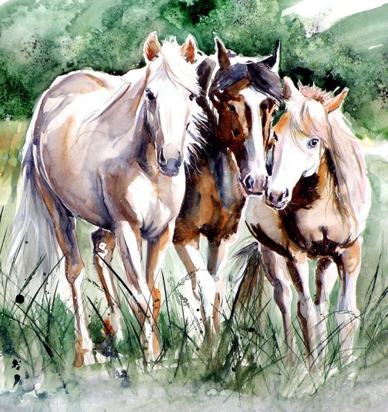 Horses on the field