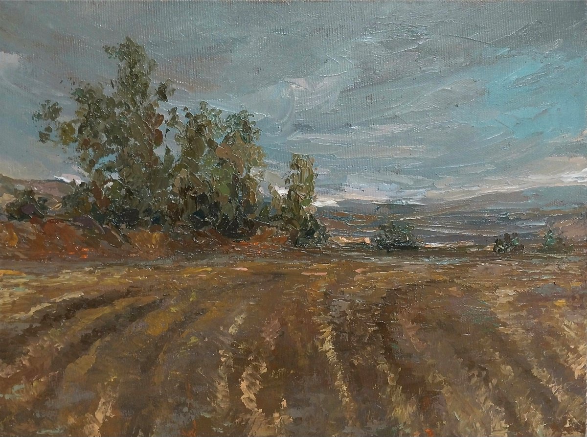 Impressionistic Landscape Oil Painting By Kamsar Ohanyan, 16 X 12", After The Harvest, Original Artwork