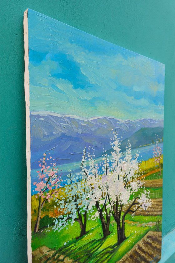 Spring day