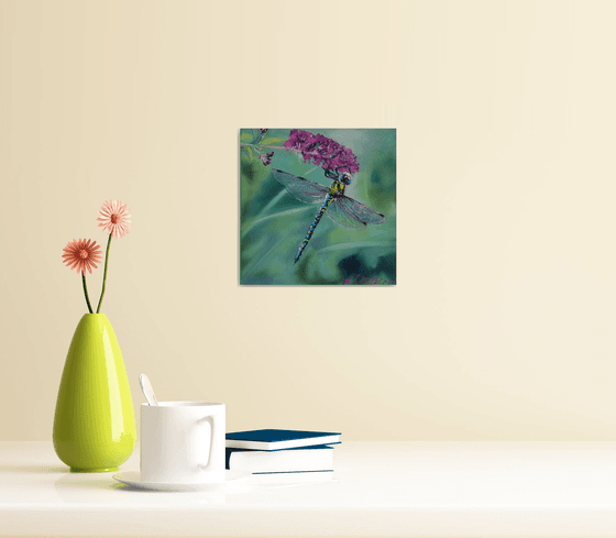 Blue Dragonfly on Pink Flower