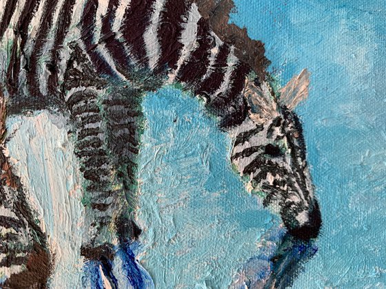 Zebras In Blue Water