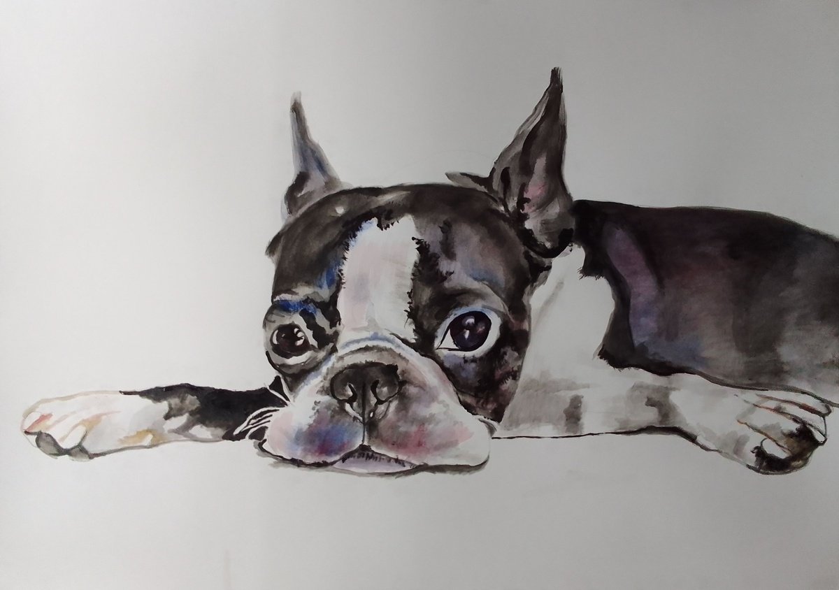 Photorealistic Animal Acrylic Painting By Soso Kumsiashvili, 33 X 24", Boston Terrier, Original Artwork