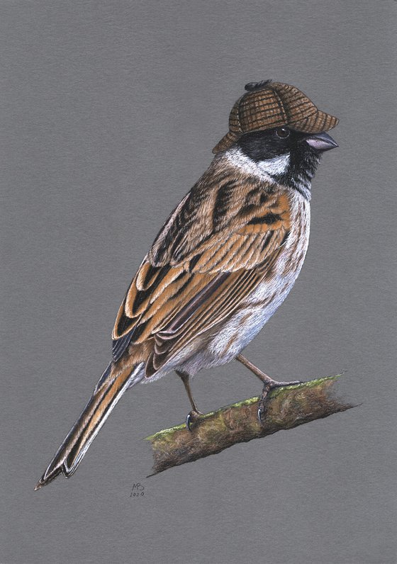 Original pastel drawing bird "Common reed bunting"