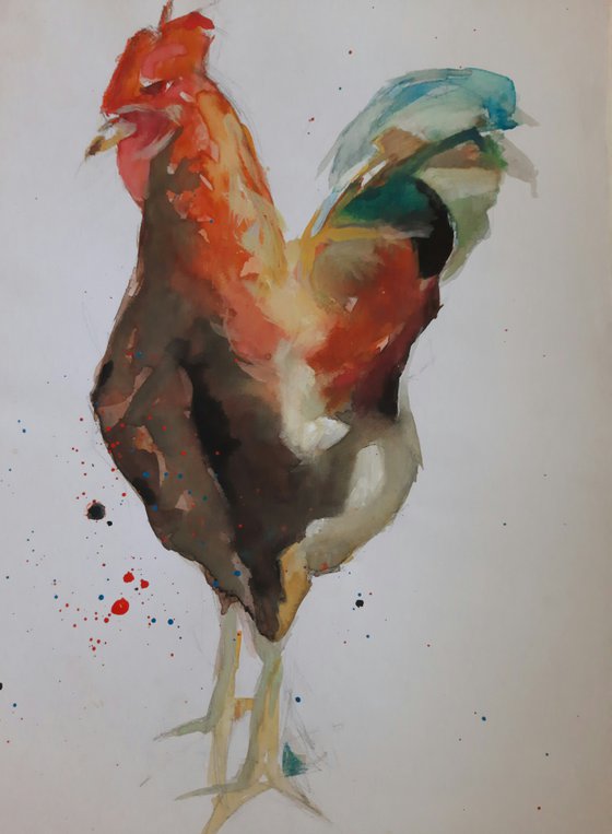 ROOSTER