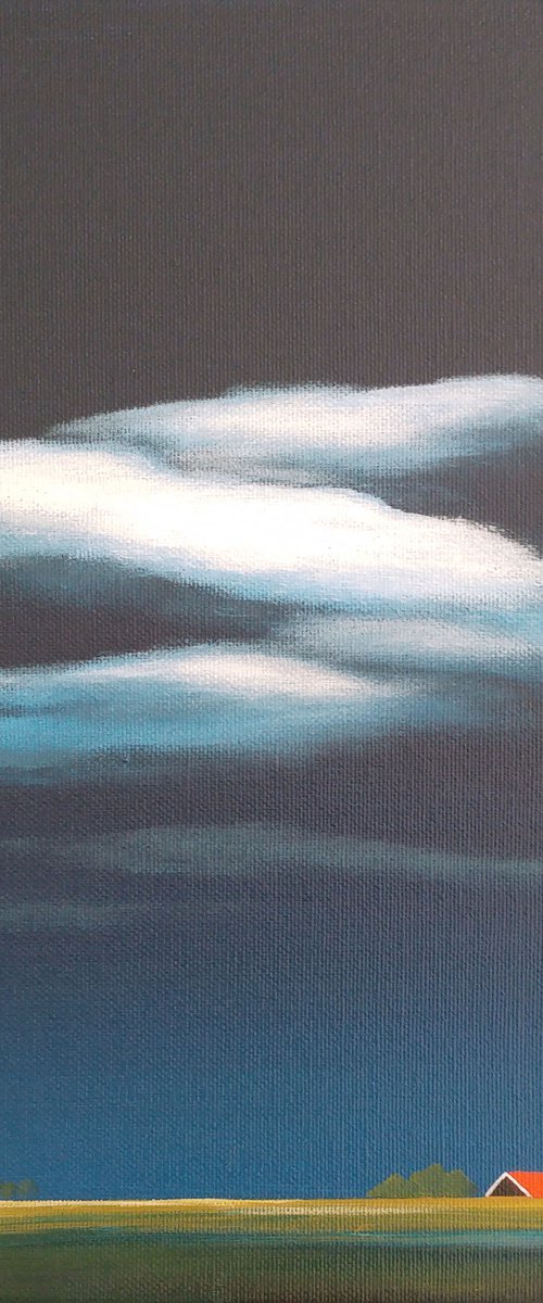 Moonlight in my polder (July) by Nelly van Nieuwenhuijzen