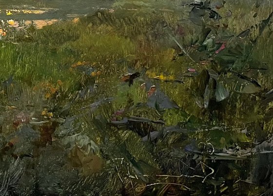 Summer dawn