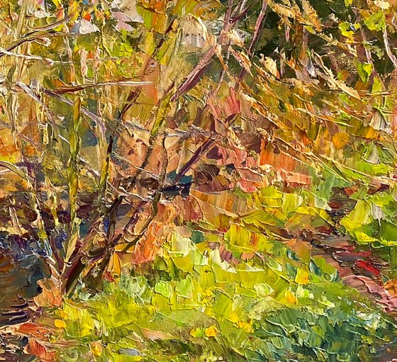 Amid hills and wooded slopes