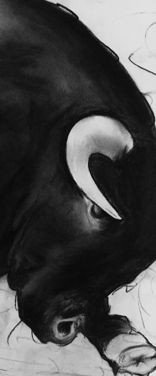 CHARCOAL BULL by Shabs  Beigh