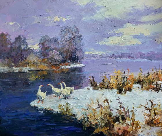 Geese On A Pond In Winter