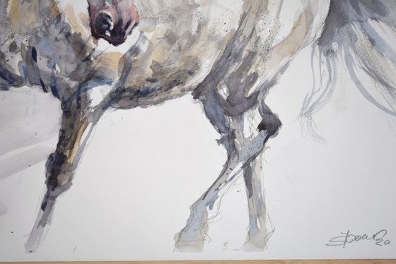 Horse in the trot (70x50)