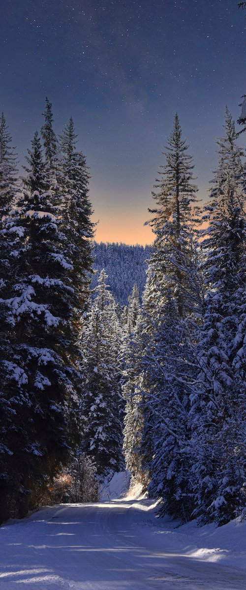 Aspen Winter Solstice by Emily Kent