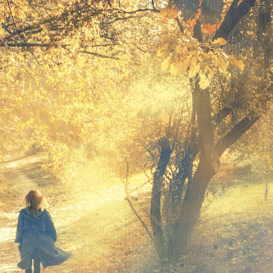 In the sunny forest.