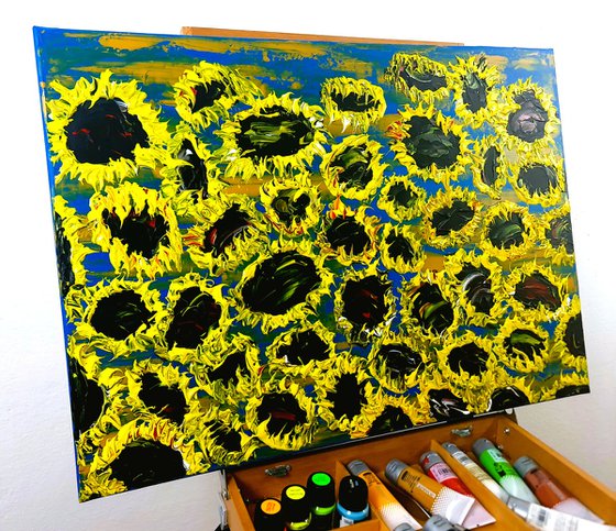 Blooming sunflowers 7