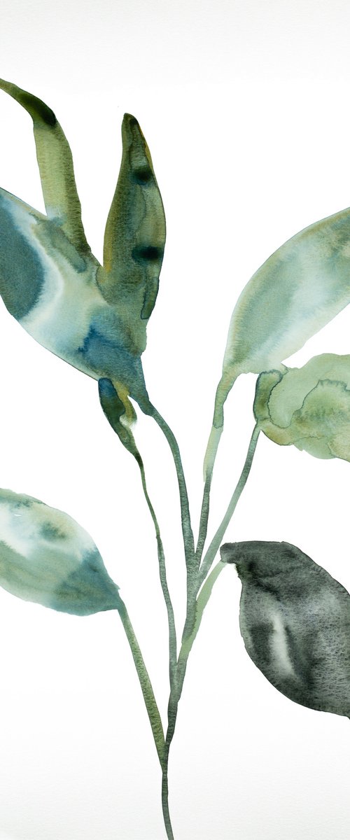 Plant Study No. 97 by Elizabeth Becker