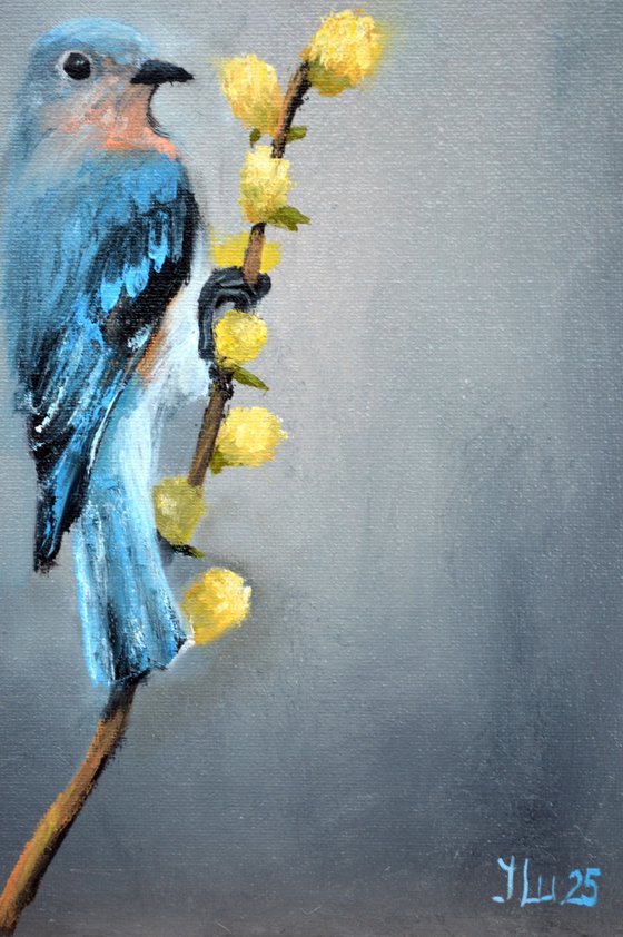 Bird on the willow