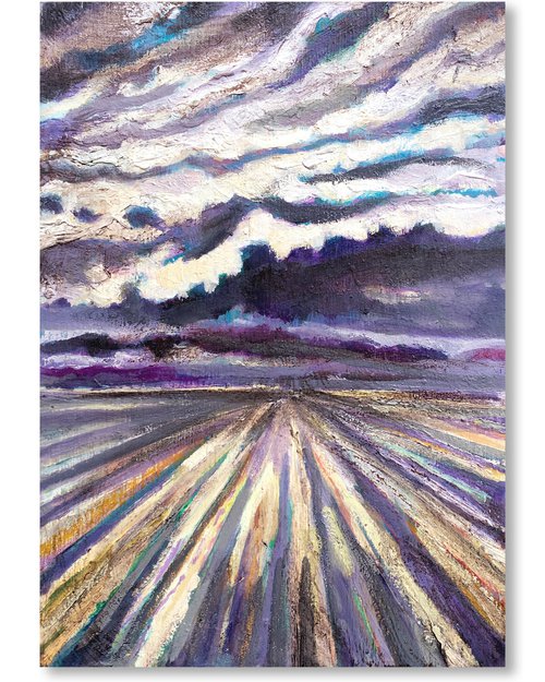 Lavender Fields by Guy  Pickford