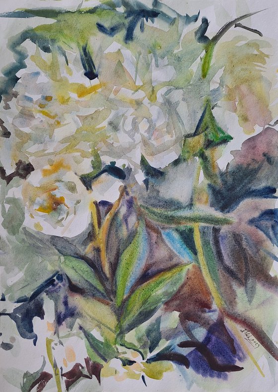 White peonies