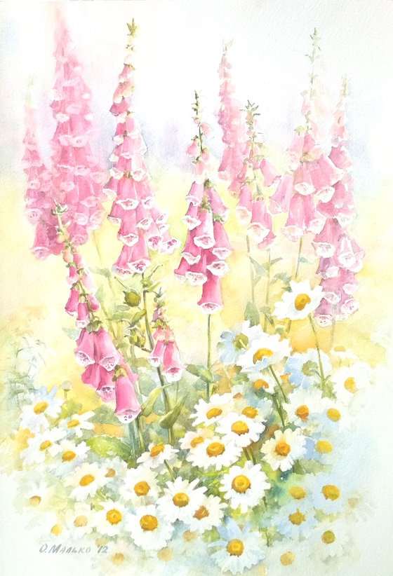 White daisies and pink foxgloves / Original floral watercolor Summer flowers picture