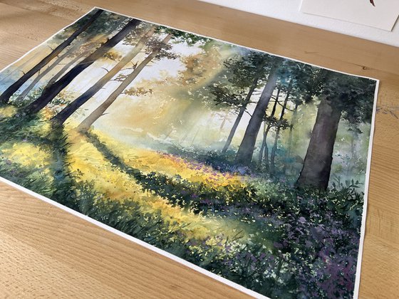 Misty Morning Forest