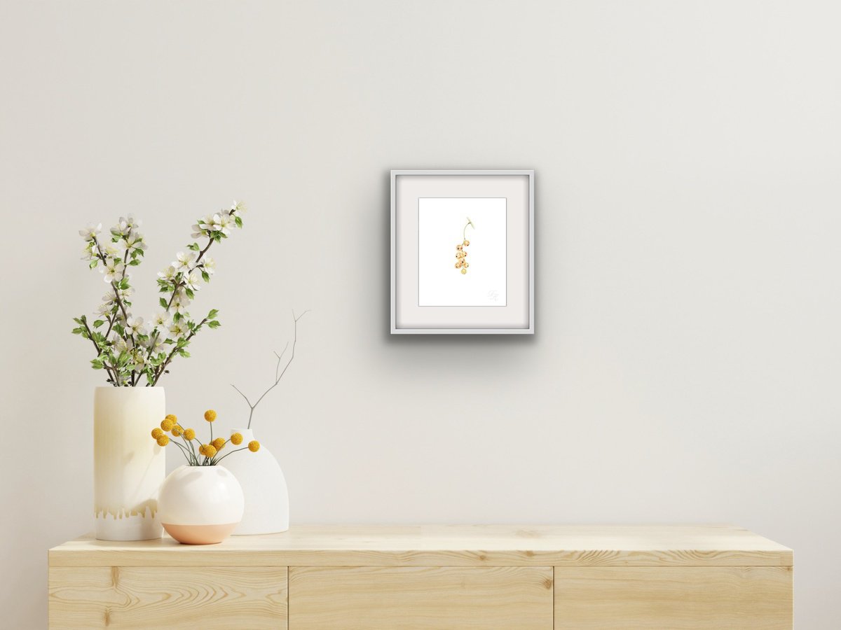 Illustrative Still Life Watercolour By Tetiana Kovalova, 8 X 10", White Currants, Original Artwork
