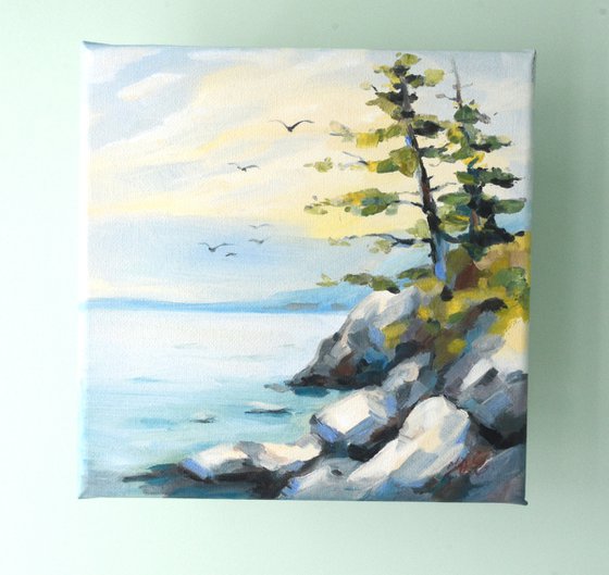 Pine trees on a rocky shore