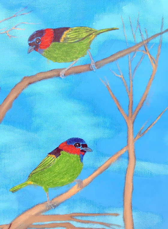 BIRDS OF A FEATHER #2