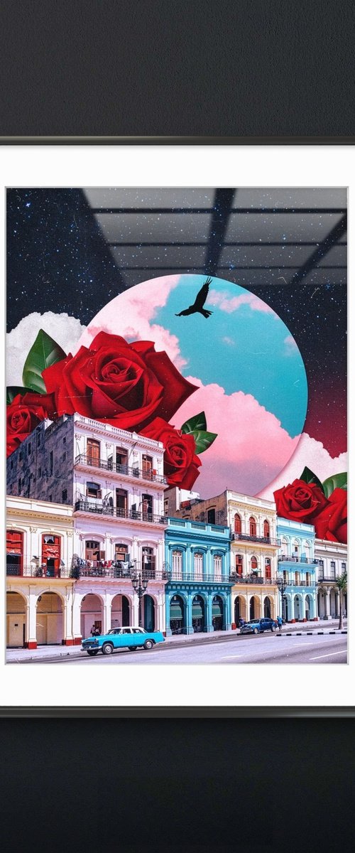 Cuba&Roses by Darius Comi