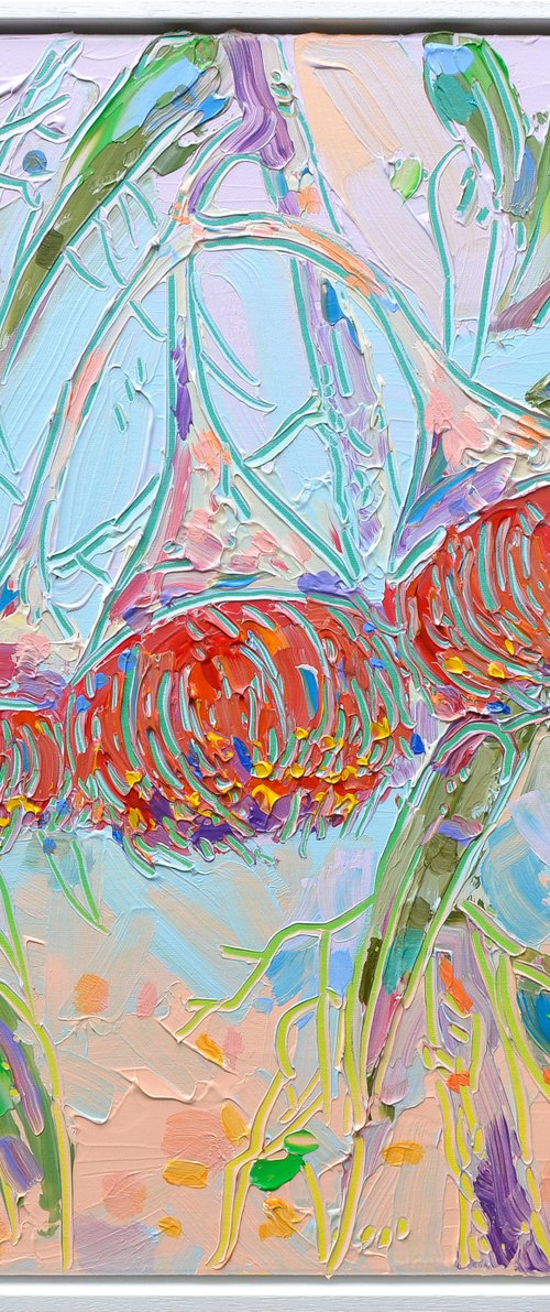 Silver Princess Eucalyptus by Joseph Villanueva
