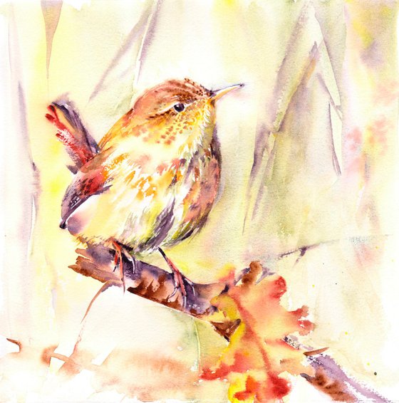 Wren painting, Wren in watercolour, Original Watercolour Bird painting