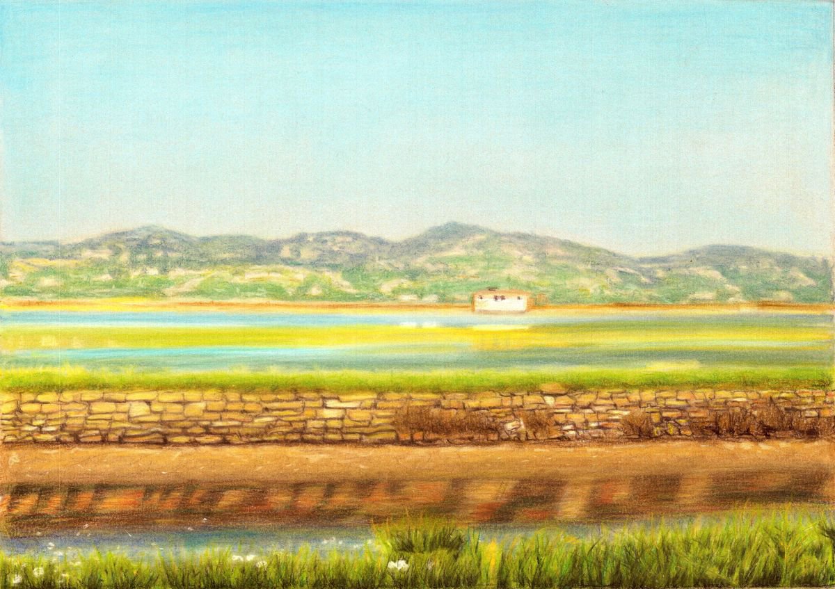 Photorealistic Pastel Drawing , Spring Colors In Salinas By Nives Palmic, 17 X 12, Artwork For Sale On Artfinder
