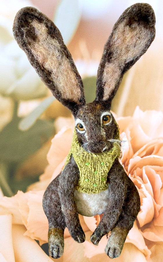 The hare in the green jumper