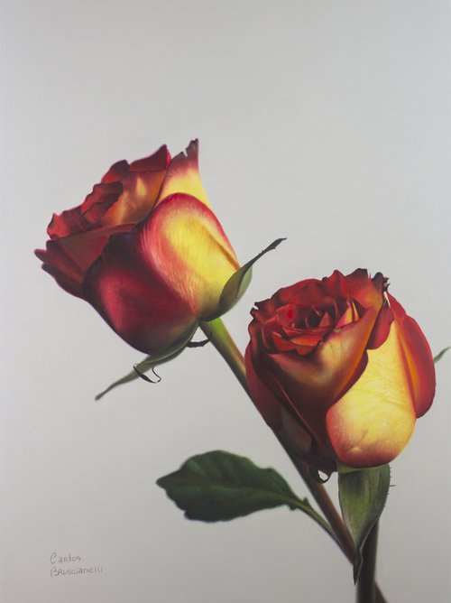 Roses II by Carlos Bruscianelli