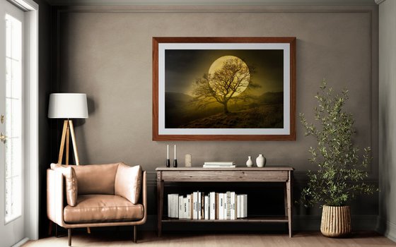 HARVEST MOON II